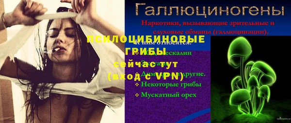 крисы Краснослободск