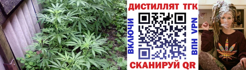 ТГК THC oil  Макушино 
